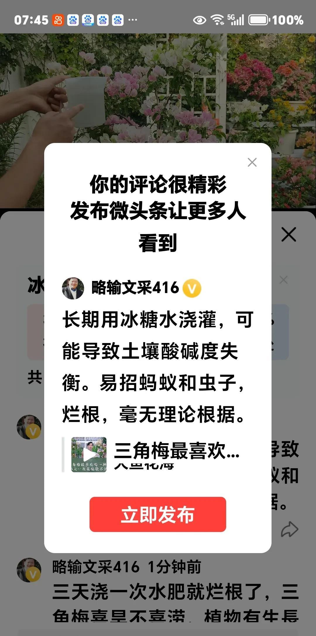 长期用冰糖水浇灌，可能导致土壤酸碱度失衡。易招蚂蚁和虫子，烂根，毫无理论根据。
