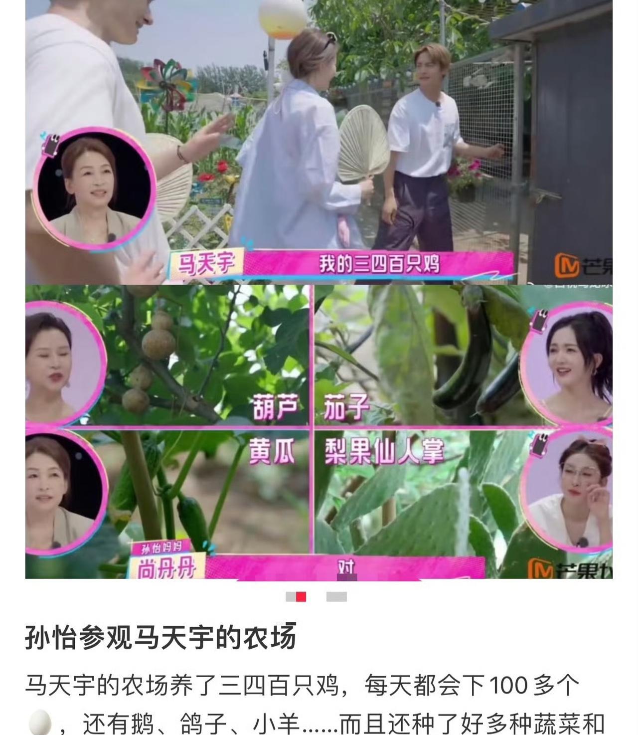  这场景看着就让人心里特踏实，暖乎乎的！自己有个农场，不用上班的时候，立马甩开城