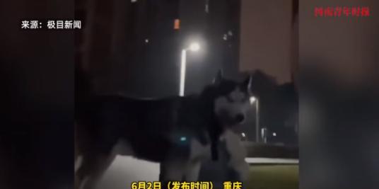 “必须严惩！”2月24日，重庆，一男子在小区里发现两个，便上前提醒她们，可谁知女