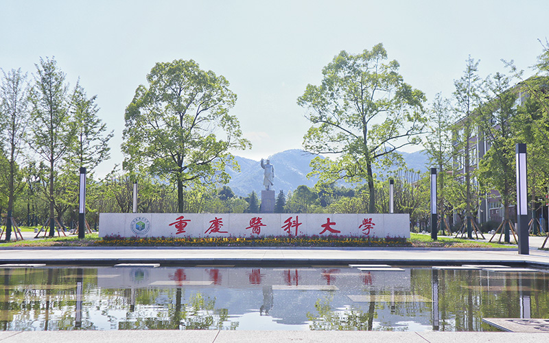 重庆医科大学多少分可以上？