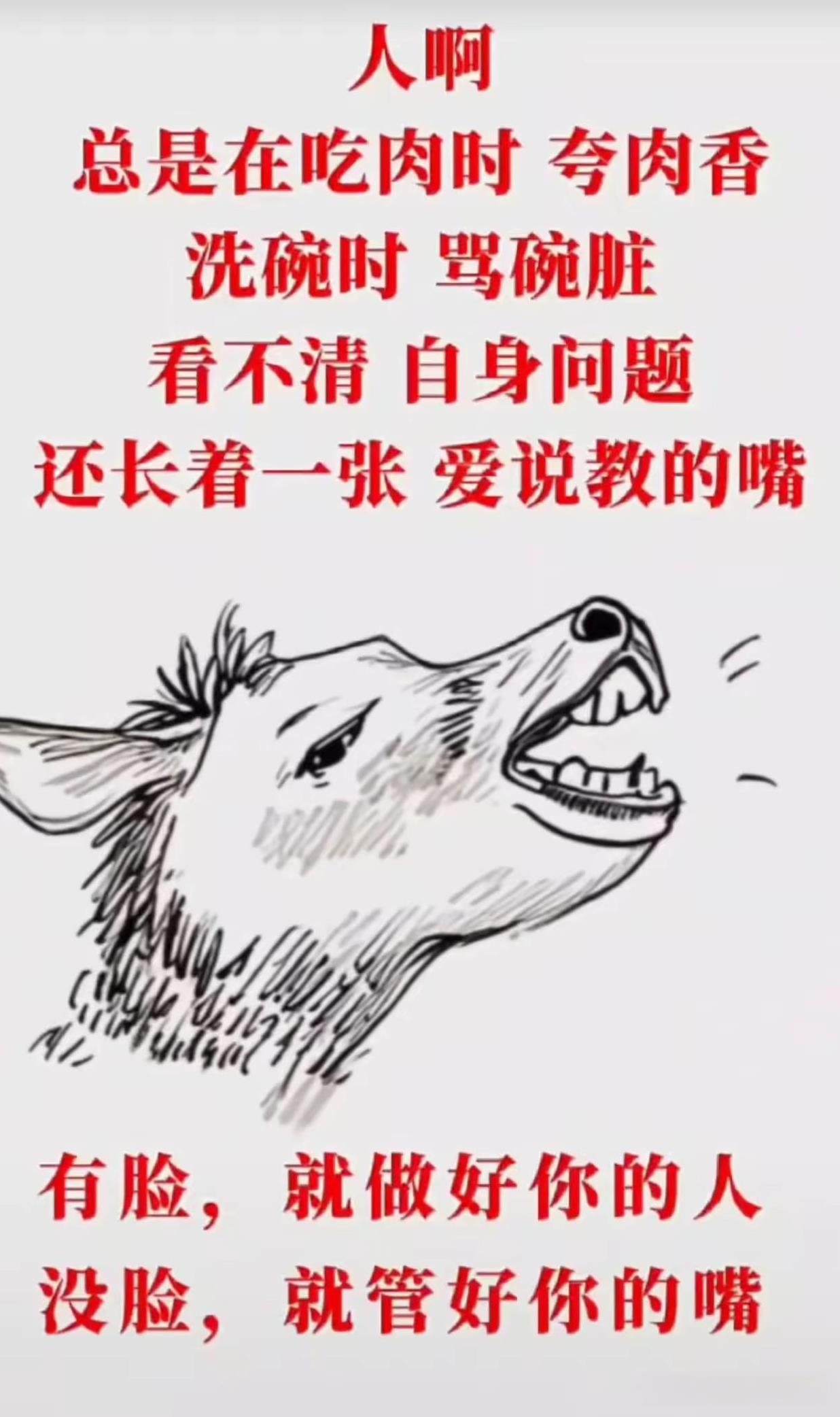 “有这些钱养狗多用心对你的父母兄弟姐妹好点。”
我想问问说这些话的人你们的兄弟姐