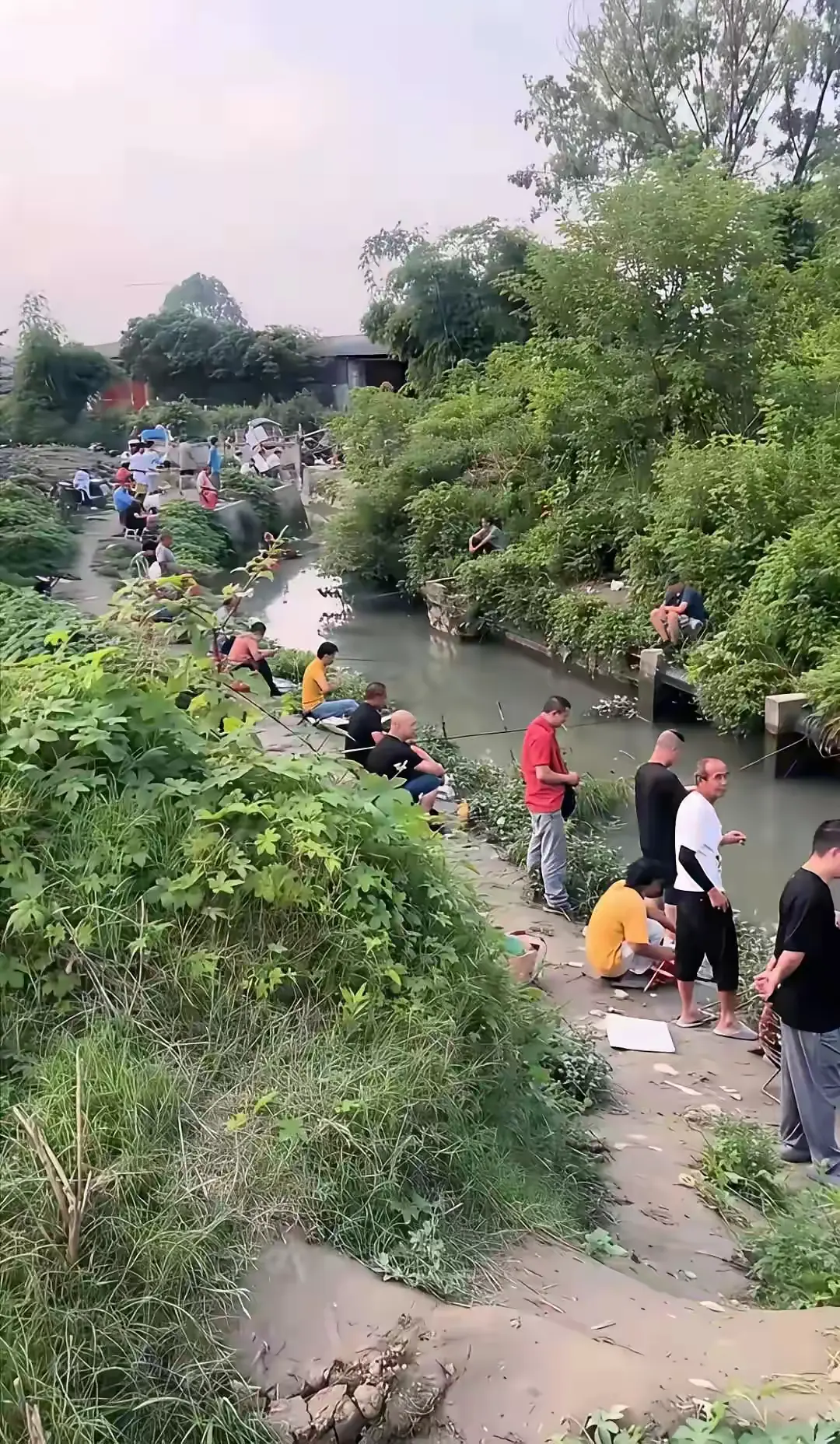 这条河的鱼是犯了天条吗？