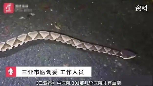 #三亚女游客疑被蛇咬伤身亡#
这事儿太让人痛心了！一个才27岁的女游客在三亚，被