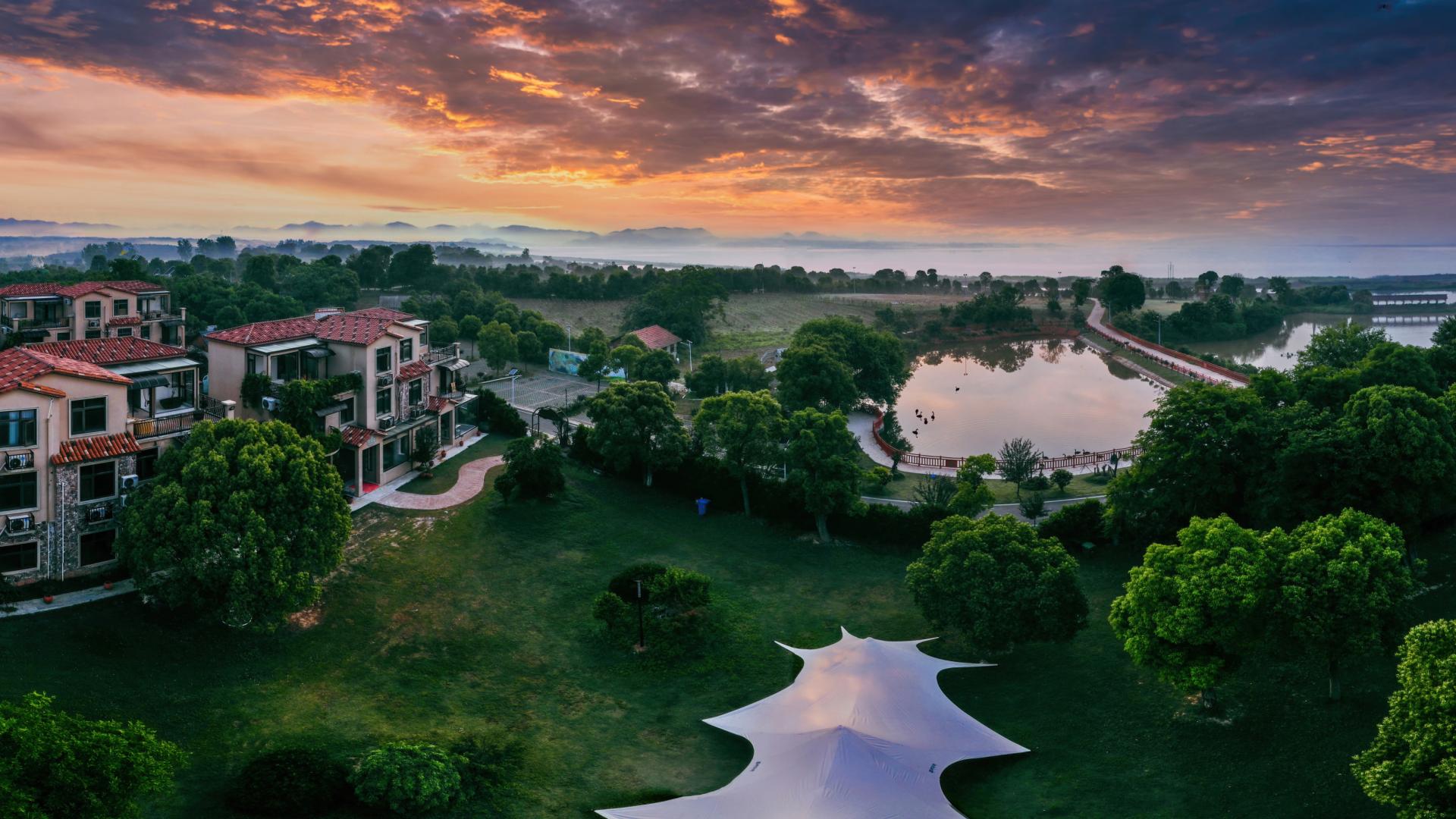 喜报！阳新网湖天鹅岛旅游区成功创建国家3A级旅游景区