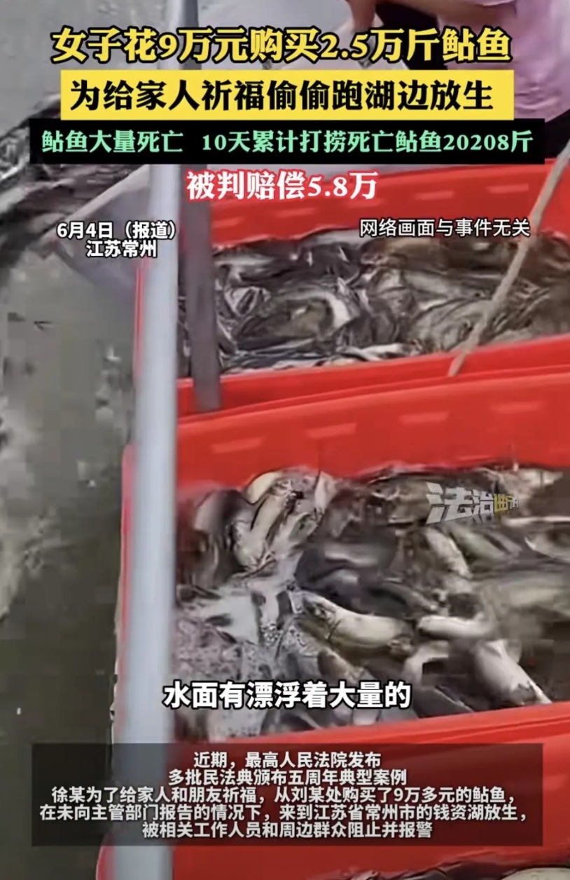 江苏常州，女子听说放生能祈福，便花9万一口气买了2.5万斤鲇鱼，跑到湖边放生。被