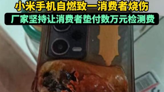 小米手机突然自燃，致男子烧伤，要求第三方检测，官服：需垫付