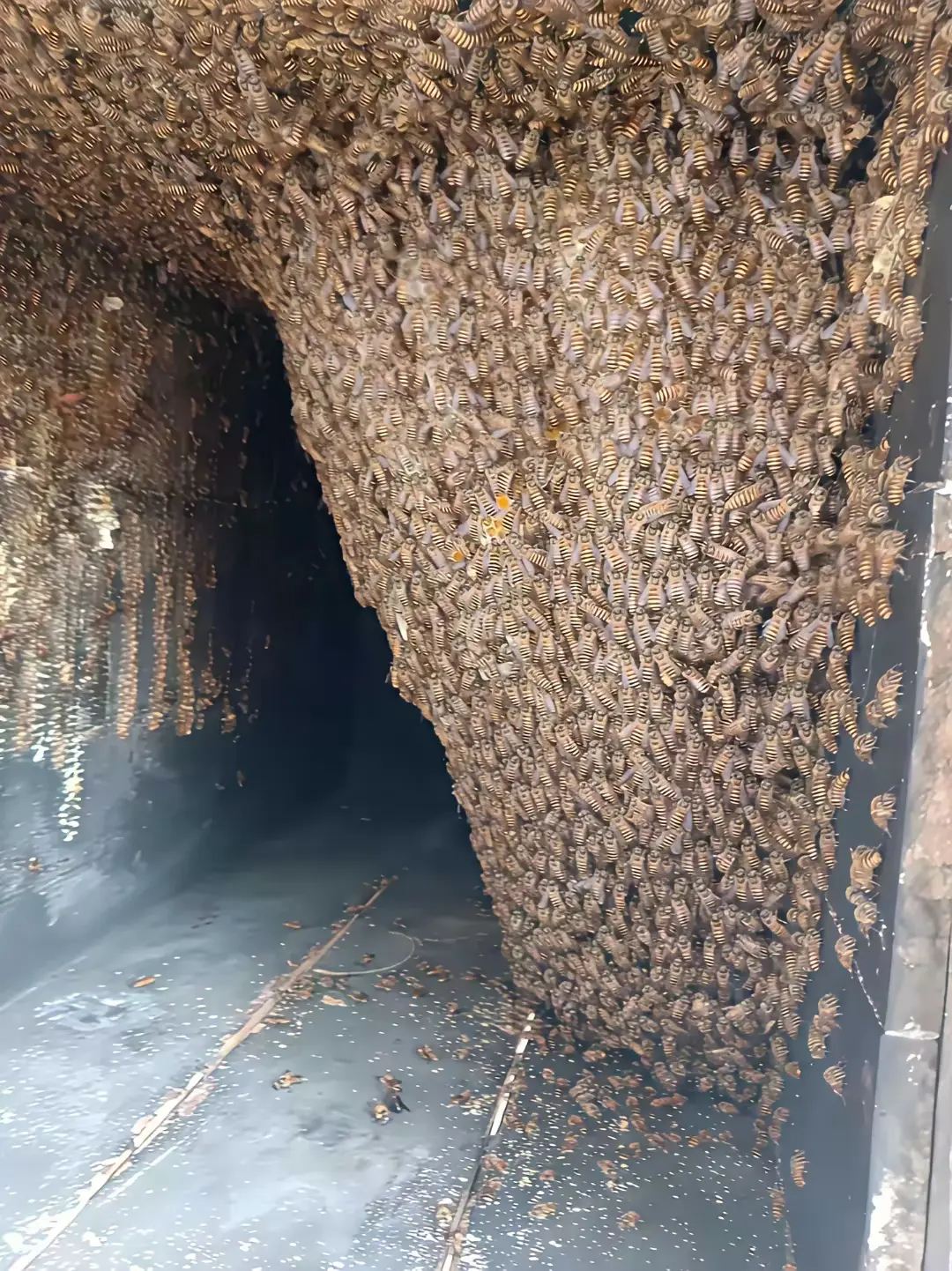 这个养殖基地咋样，敢进去不？