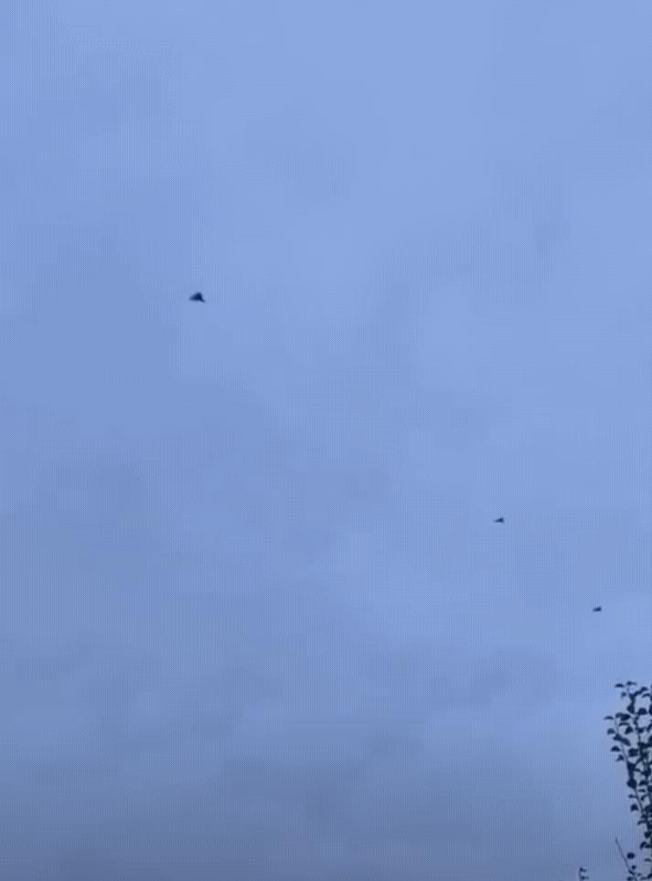 俄军这是彻底摊牌了吗？密集的俄军“天竺葵”无人机，飞向乌克兰基辅！一架接着一架排