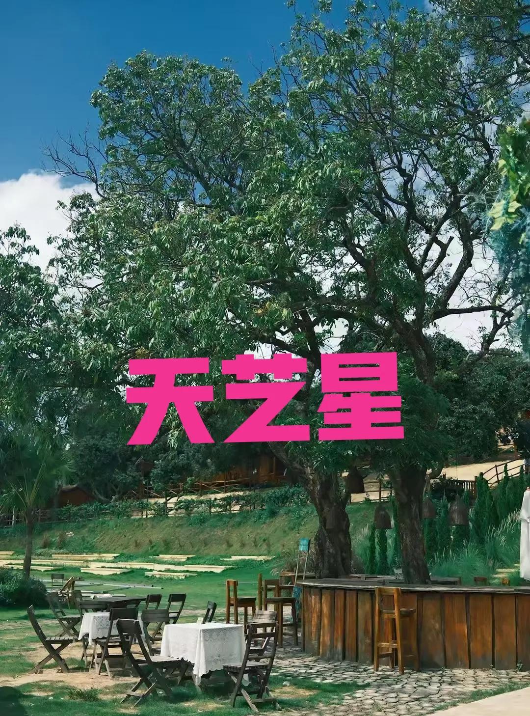 四柱"天艺星”
天艺星对应十二地支中的“戌”，象征艺术天赋与仙道灵性。
四柱有此