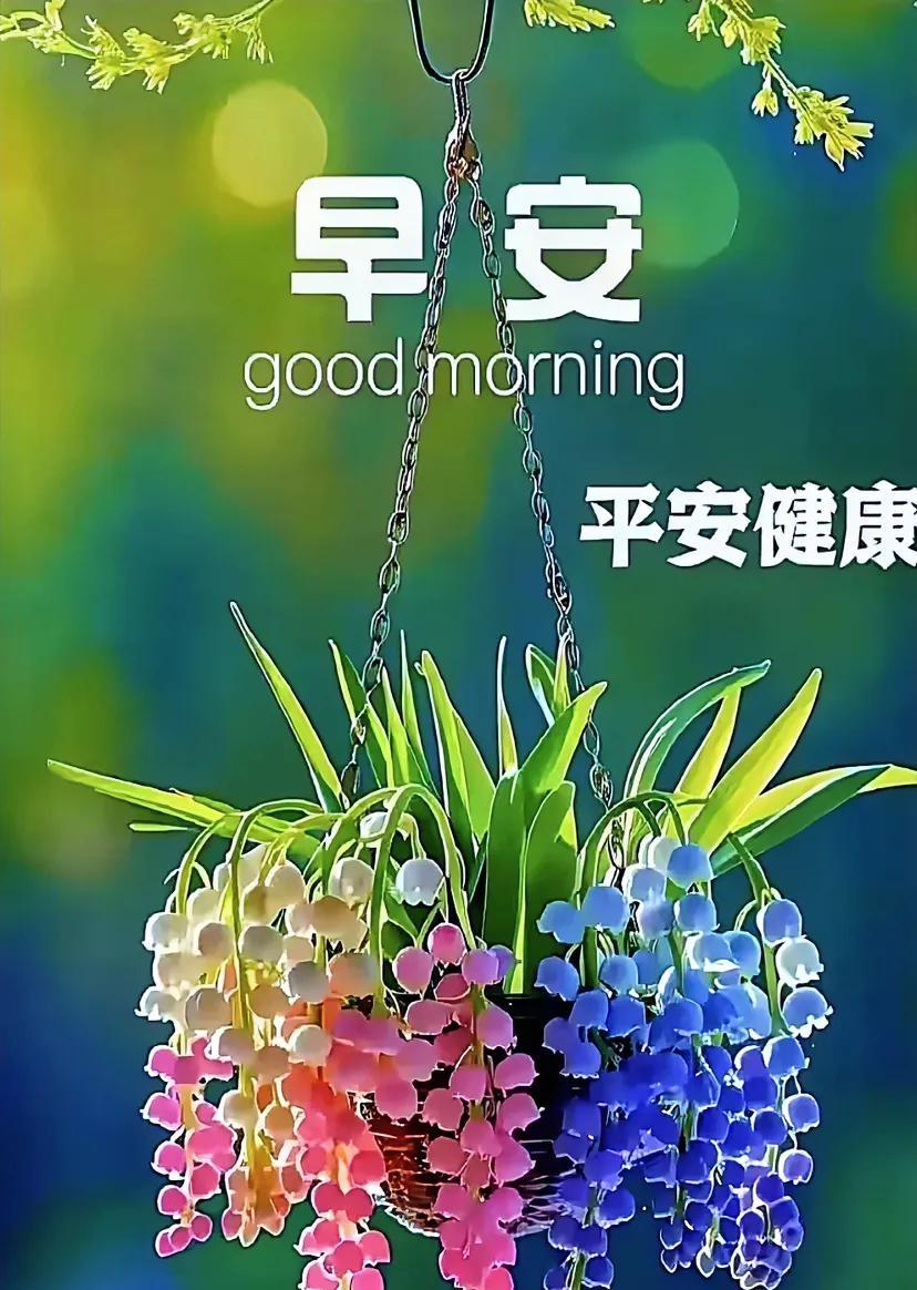 晨曦初现，花影摇曳。