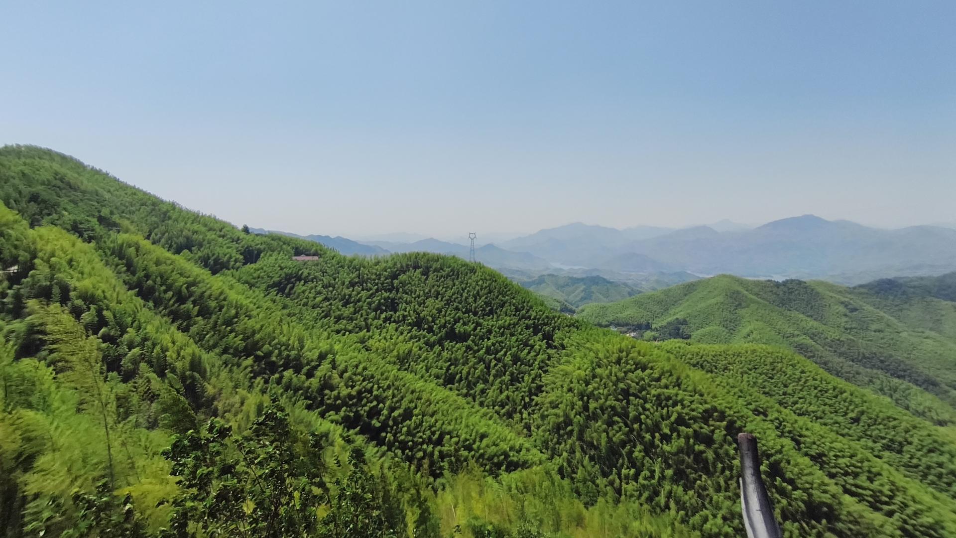 现在说话是不是雷区很多