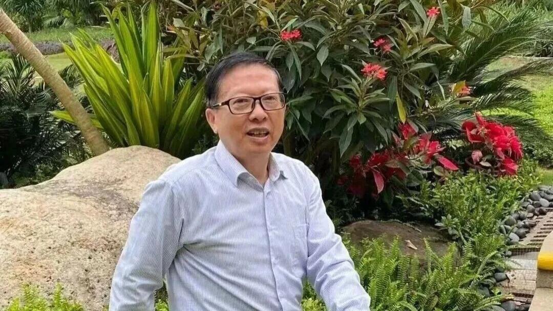 金之墨  笔墨之巅——中国书画名家致敬传统展望未来