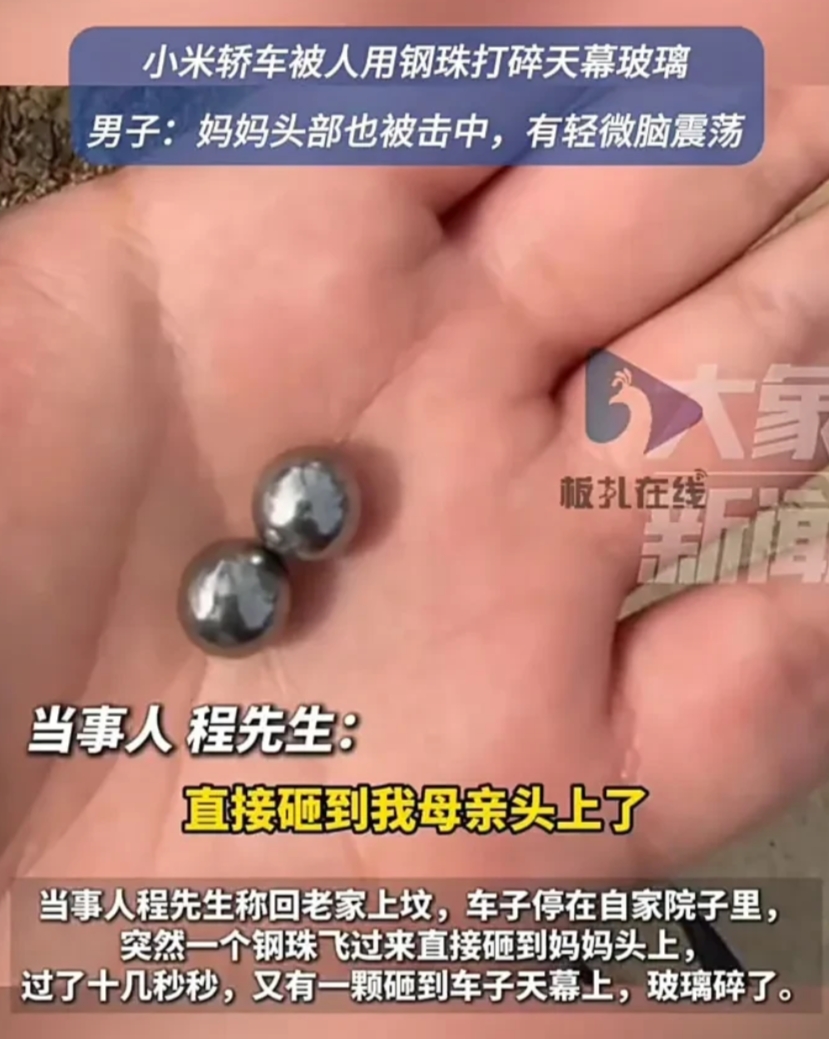 必须严惩！3月30日，安徽六安一名男子发视频称，自己回老家上坟，将小米su7停在