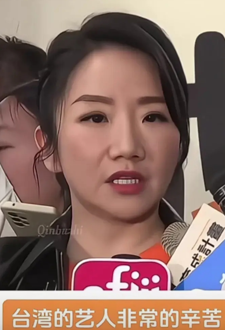 近日；艺人陶晶莹受访为台湾艺人抱不平称；做台湾的艺人很辛苦，要背负很多包袱，他认