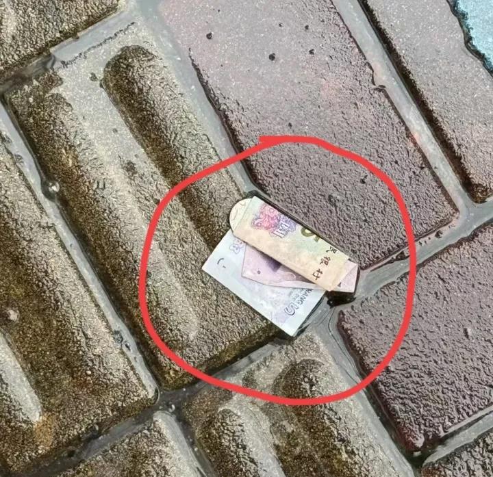 在路上看见这个玩意，你们会怎么做？会捡吗？