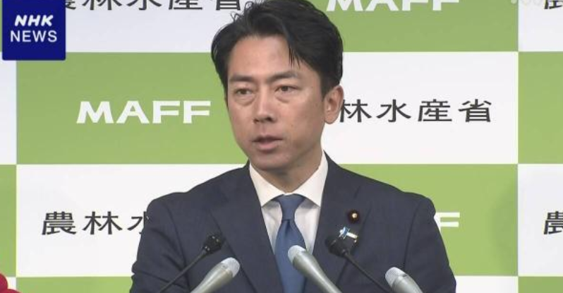 日本放出“古古古古米”，民众排队疯抢，这“陈年老米”曾是拿来喂鸡的。

继一周前