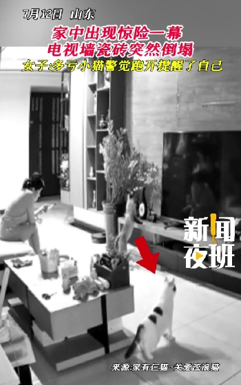 太有灵性了！”山东，女子在家玩手机，旁边猫咪突然惊恐逃窜，她下意识抬头一看，也跟