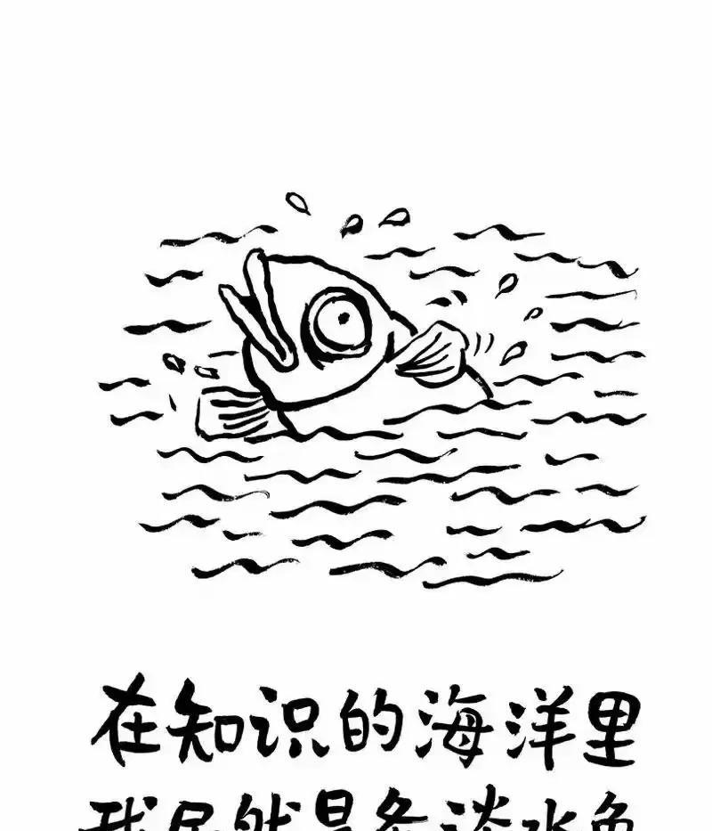 鱼的启示