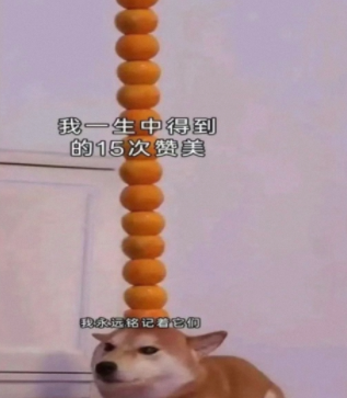 永远铭记着它们