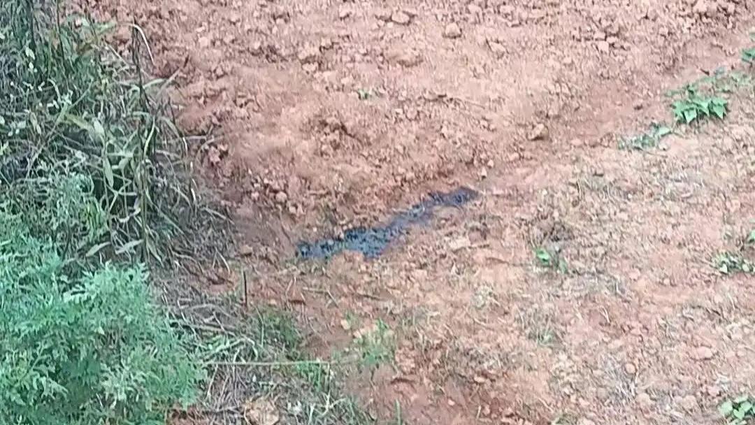55岁农民工遭气枪击中身亡