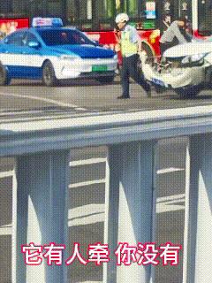 笑晕了！知道自己犯错了，乖乖地跟着叔叔走！
谁让你不听话了！
第一次从车身上看到