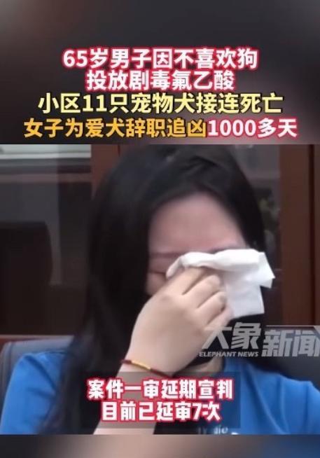 太执着了！北京一女子因宠物狗被毒死，辞职1000天寻找凶手，自学法律为其爱宠讨回