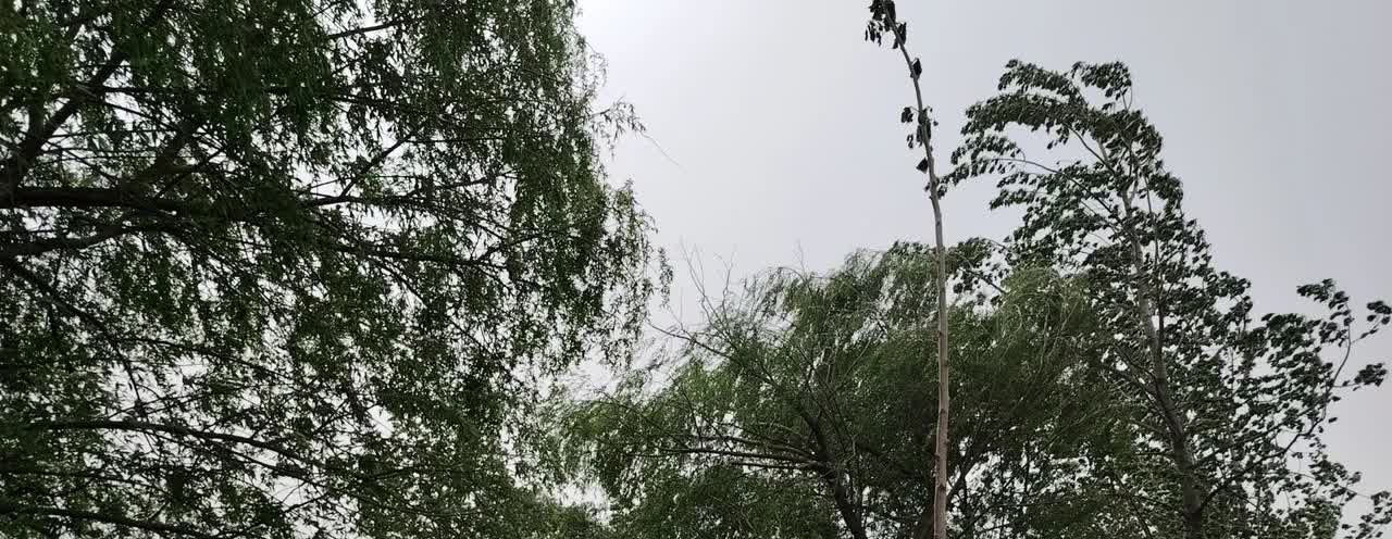 下午，突然收到一起练车的一个美妹的信息，她告诉我这次又没考过，她上次是四月一号考