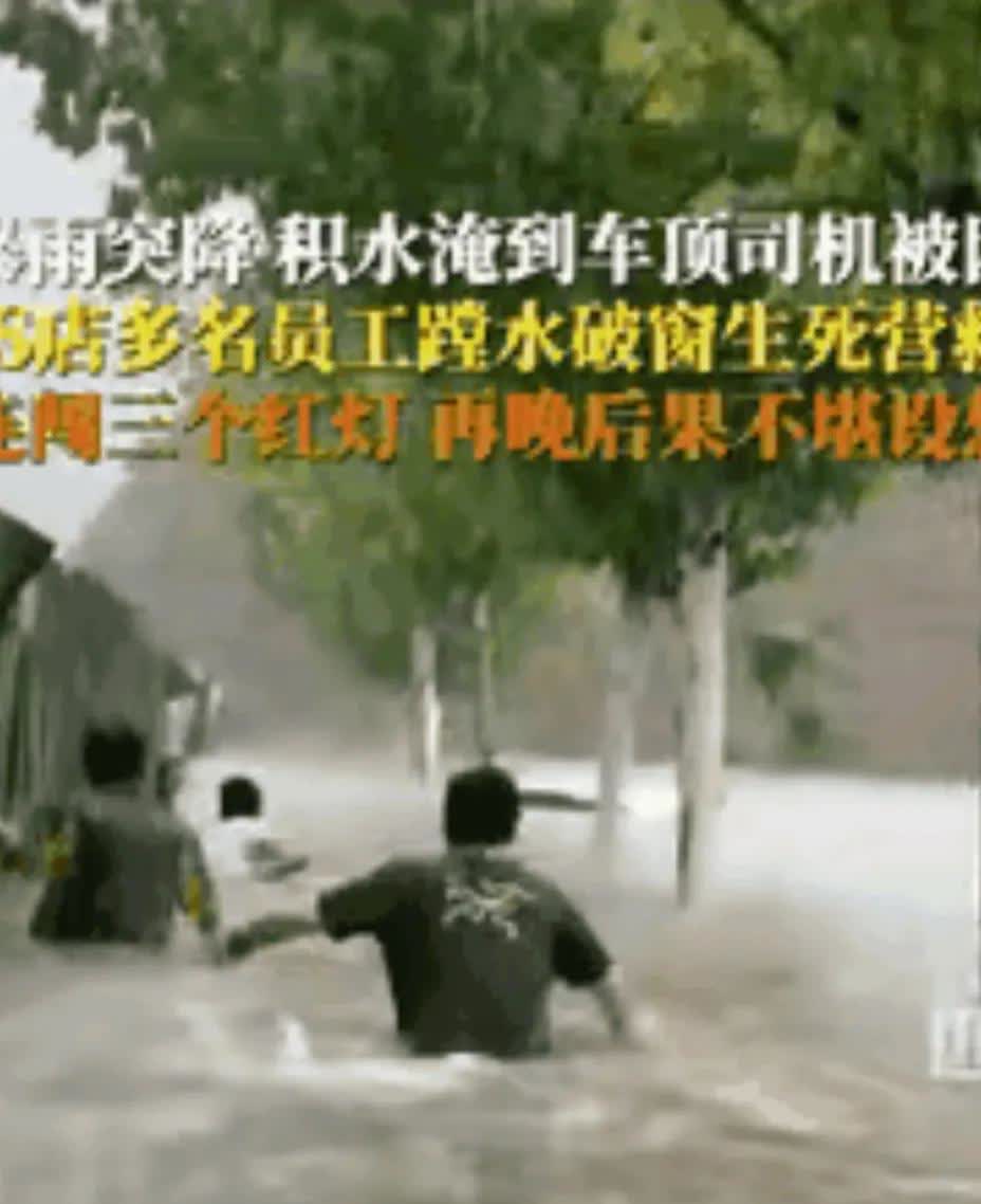 这才是真正的“人间暖流”！在这个快节奏、充满压力的社会里，我们或许早已习惯了冷漠