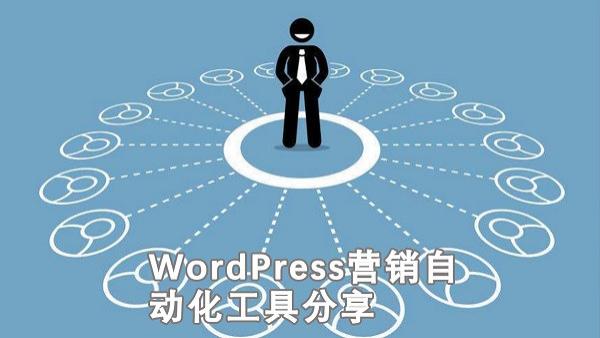 独立站营销自动化工具应用指南：选型、场景与成功案例
