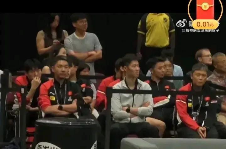得先说明白，王励勤是中国乒协副主席，不是主席，这得纠正过来。
今天女队那俩世界第