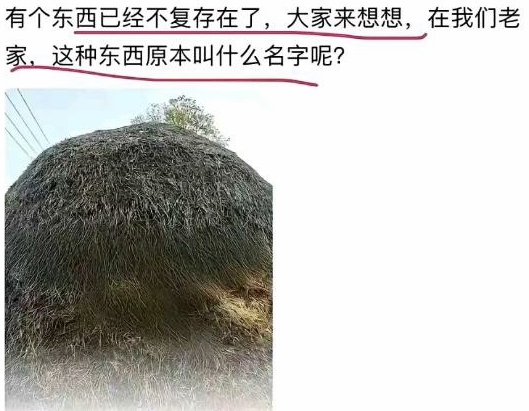 只有在农村待过的人才知道叫什么吧?