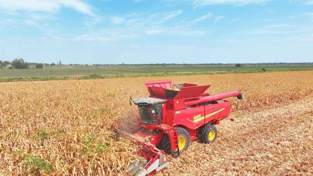 钵施然谷物收割机，农业黑科技等你来！
