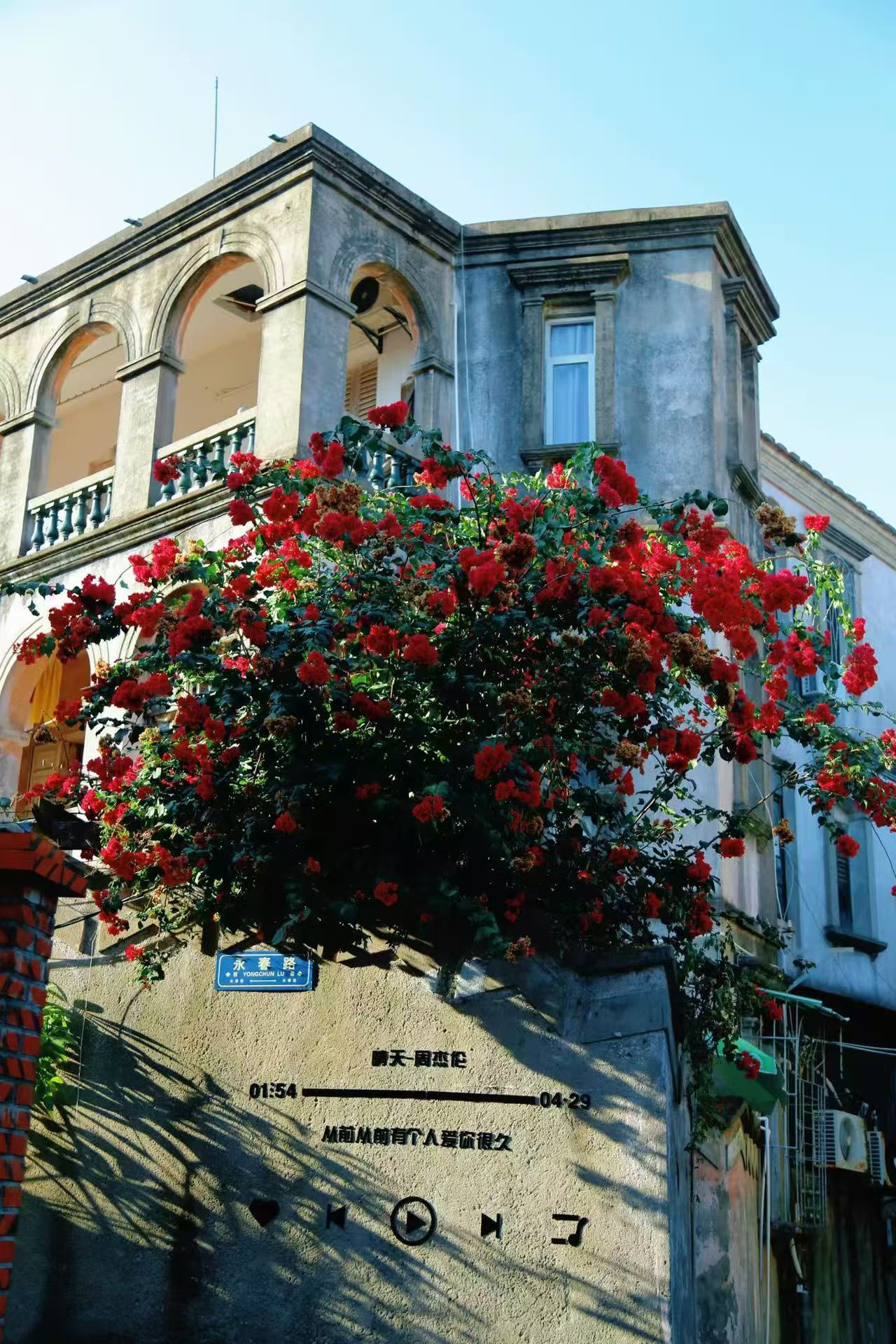 🌊福建冬季旅游 | 海上花园鼓浪屿攻略💕