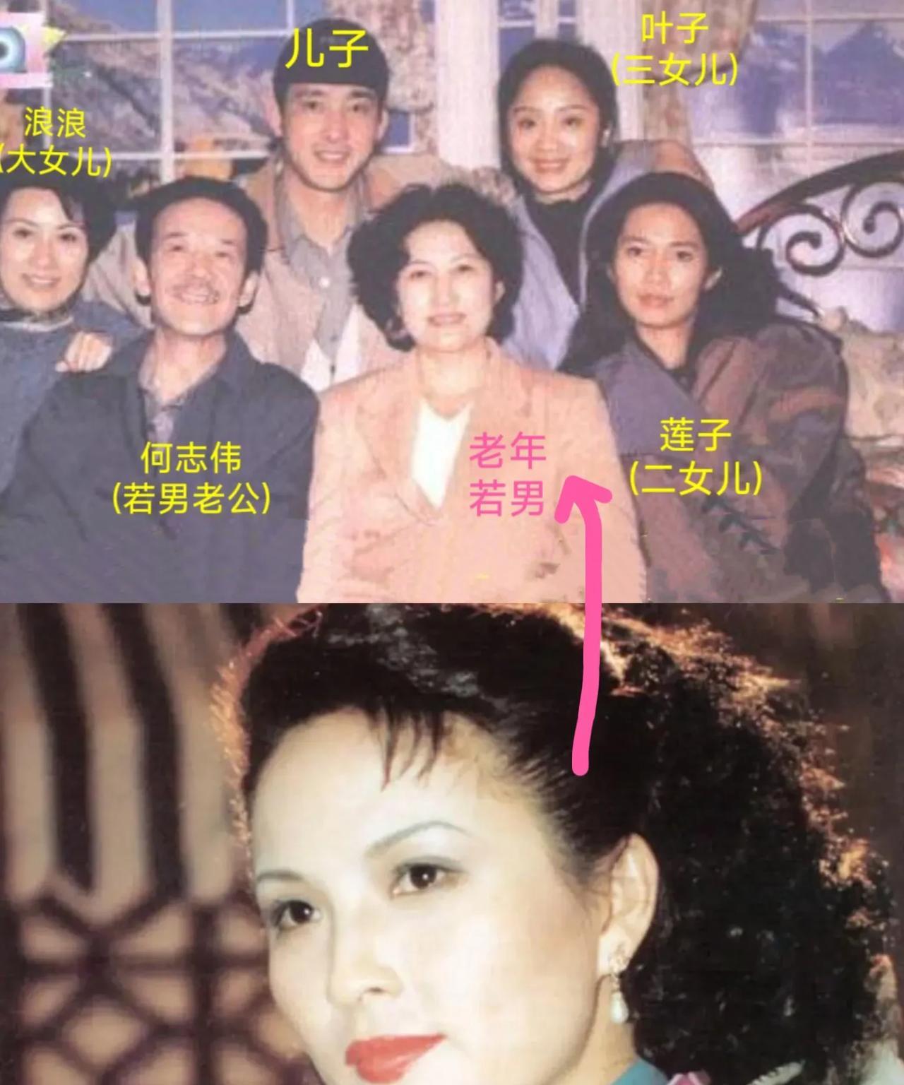 《上海一家人》的续集里可以看到若男生的一儿三女长大后的状况，大儿子一辈子实实在在