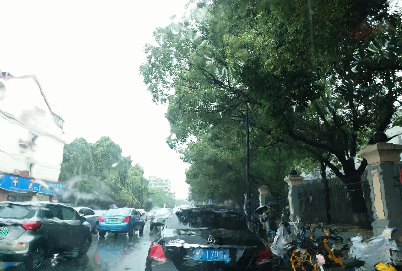 今天下大雨。
又到了儿子学校来了，三年了，终于要拿证了，大专，高职。
儿子其实是