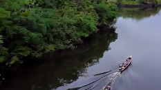 水量冠全球的亚马逊河，为何无桥敢跨？这 3 个可怕原因藏不住