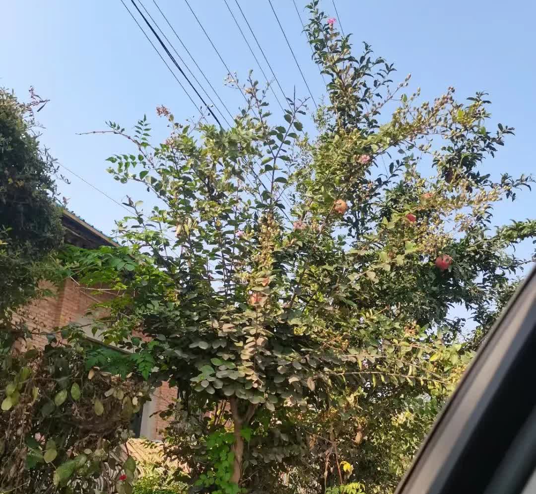 还别不承认，奥迪A6L、宝马5系、奔驰E级可以说很多人的天花板，别看现在车价掉了