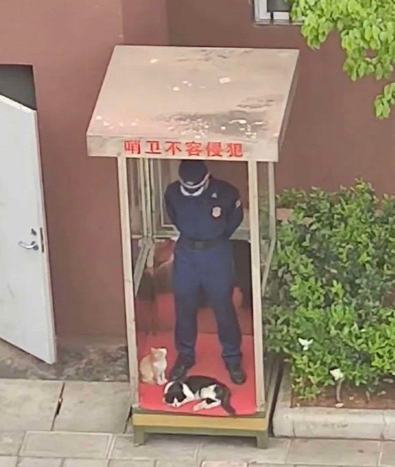 小猫：那咋啦？我又不识字！😸😸
