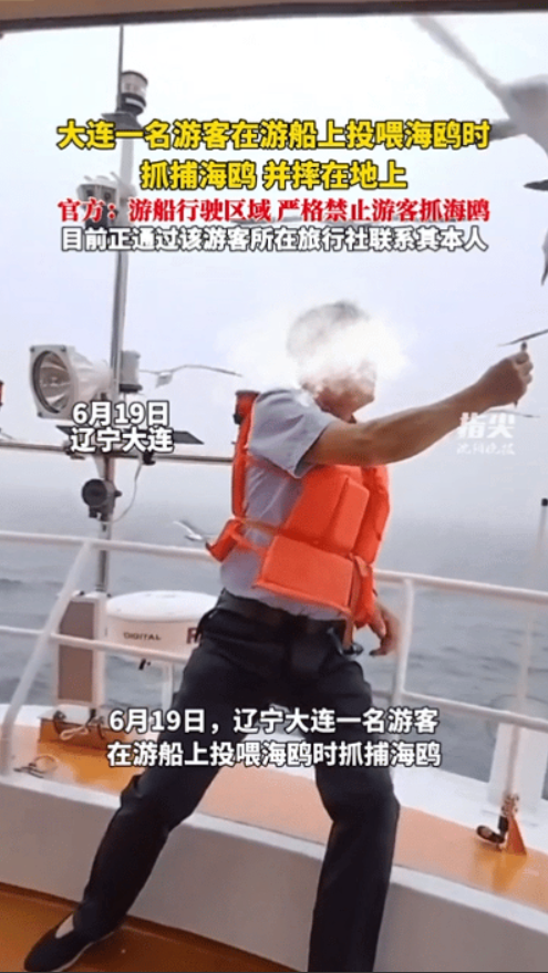 “太过分了！”，辽宁，一位中年大叔在跟随旅游团乘坐游船看海鸥当看到几个好看的阿姨