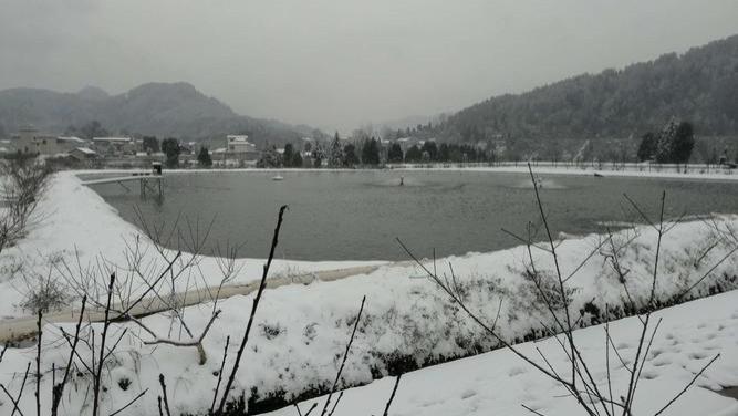 第01篇：冬季养殖户必看！这三个错误导致80%的越冬损失