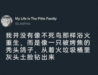 灰头土脸钻出来