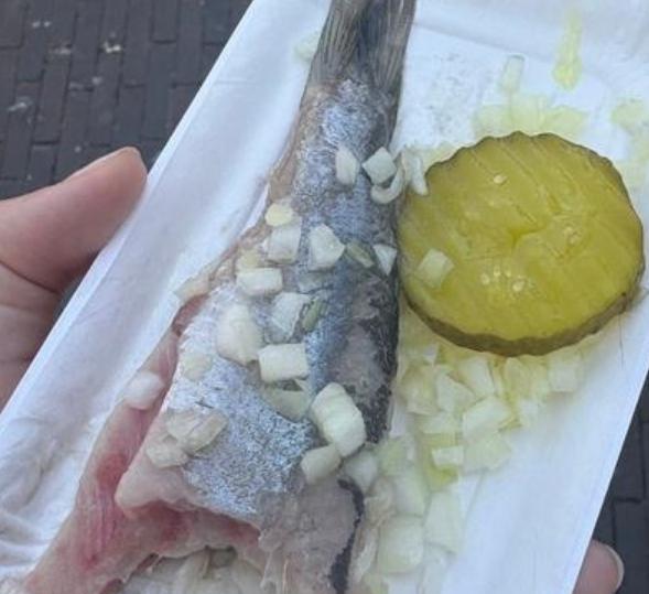 荷兰著名黑暗料理（美食？）鉴赏[尬笑]看到图中这一小碟鱼了吗？刚刚才知道，这竟然