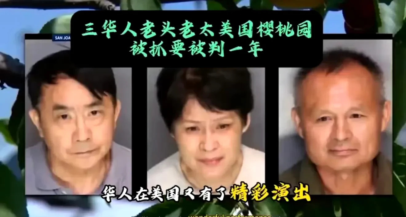 华人大爷大妈在美偷摘樱桃被抓











---










