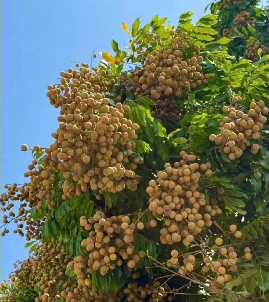 保安、保洁，怎么多挣钱？
现在，全民搞外快，做副业挣钱。
十个工厂仔，九个跑众包