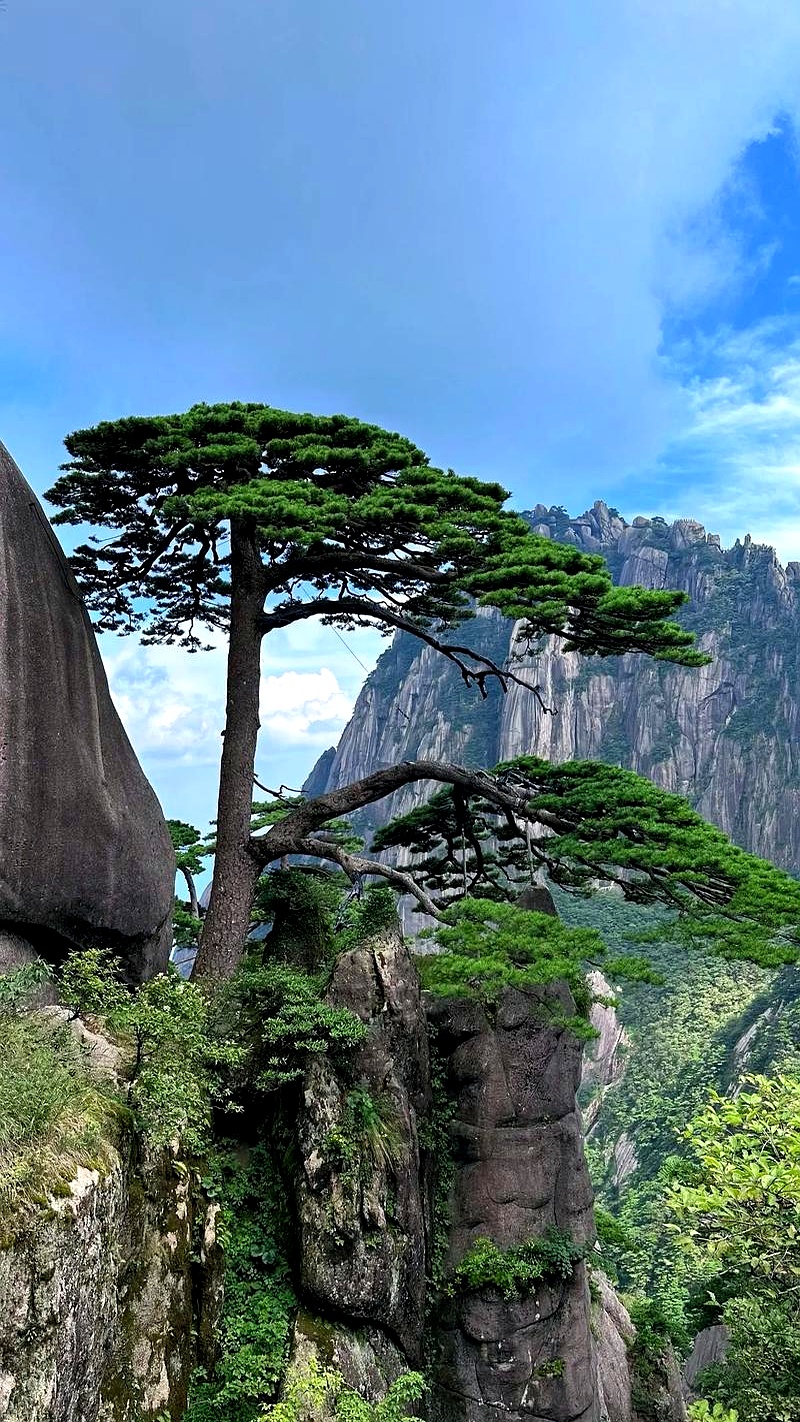 五月黄山音乐节，人山人海。重点是，刘宪华来了！开场《Trap》，小提琴加电音，炸