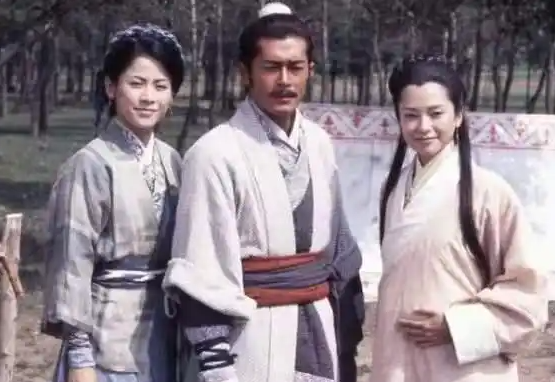 电视剧《寻秦记》的结局，琴清不是已经怀孕了吗？为何在电影里面，项少龙只有项羽一个