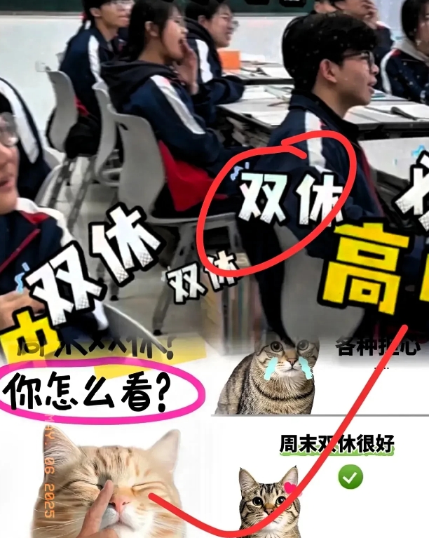 教育局此次可是动真格的了！

教育局终于出手了，这次彻底狠下心了！从本周开始，各