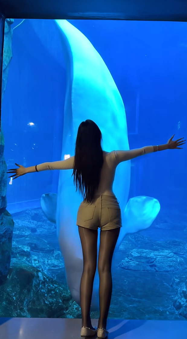海洋馆真的是适合约会的浪漫圣地