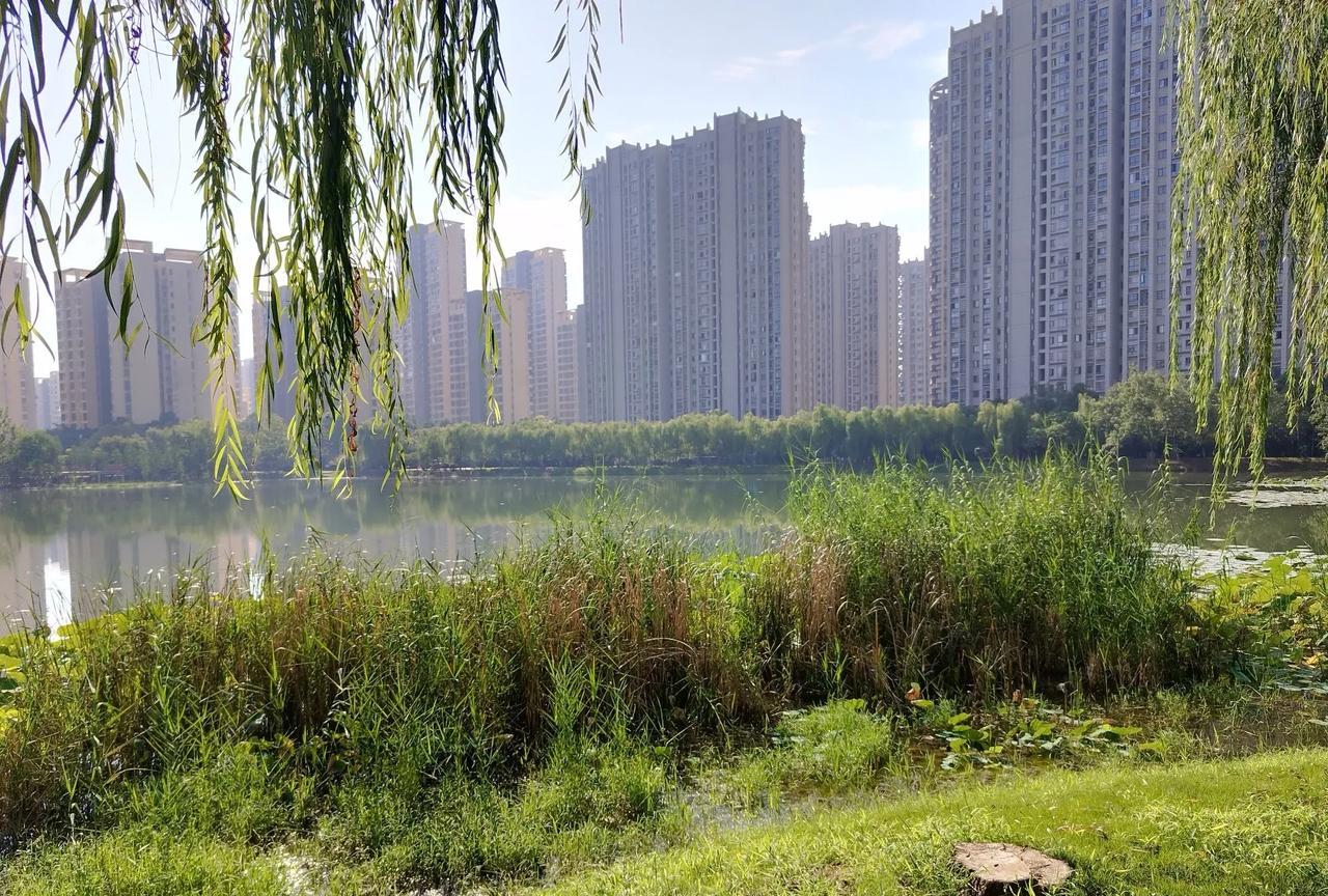 亲情是最难以隔舍的
兄弟姐妹之间，再大的矛盾，只要一方有困难，其他姊妹都不会袖手