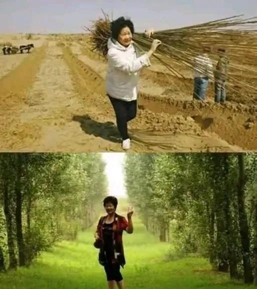 她叫易解放，20年种了200万棵树。
用BBC的话说，她在蚕食沙漠，她在强迫20